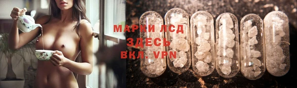 spice Магадан