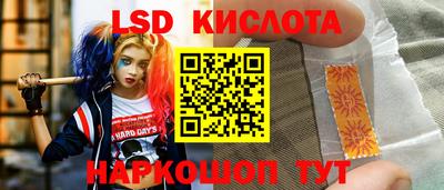 прущие грибы Будённовск