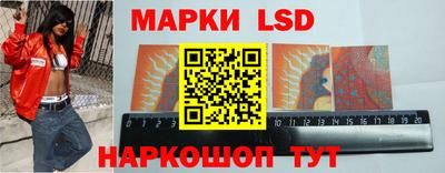 прущие грибы Будённовск
