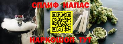 прущие грибы Будённовск