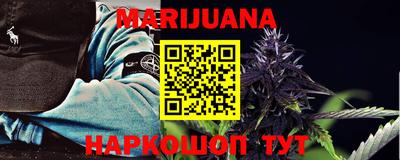 прущие грибы Будённовск