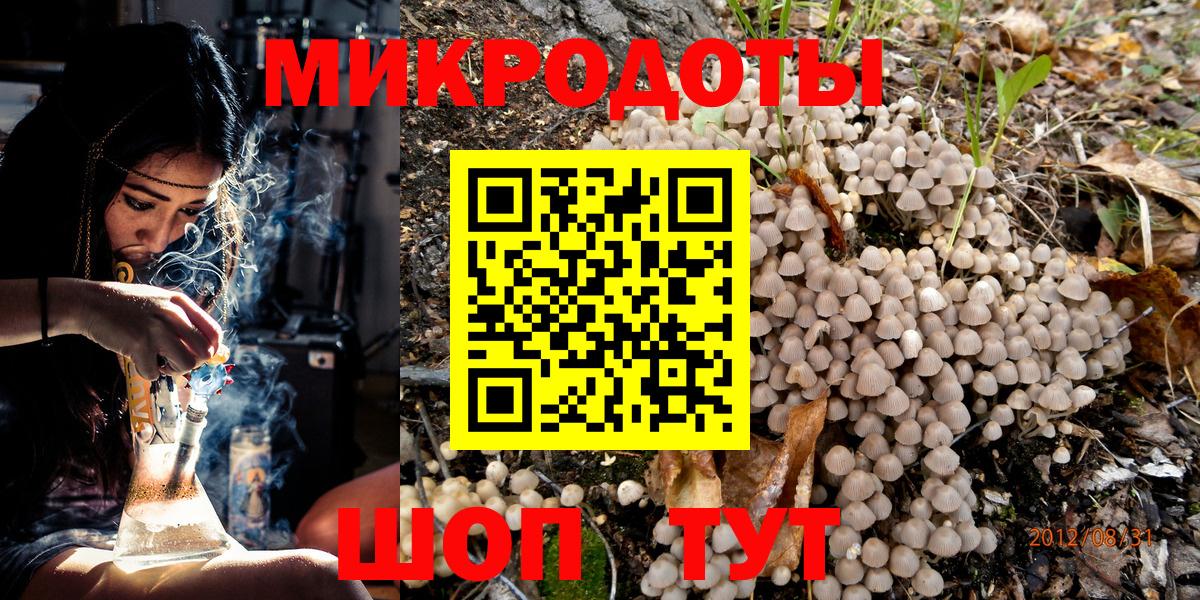 Галлюциногенные грибы Psilocybe Комсомольск-на-Амуре