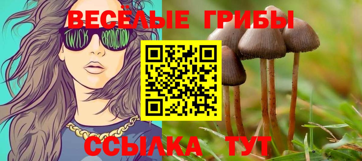 Комсомольск-на-Амуре  Псилоцибиновые грибы GOLDEN TEACHER  Галлюциногенные грибы Psilocybe  Вход с VPN 